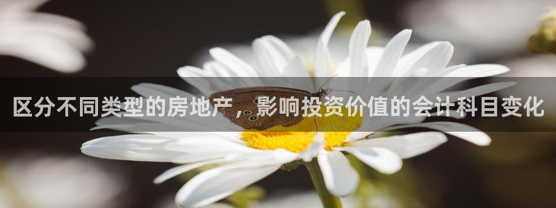 新宝5娱乐家