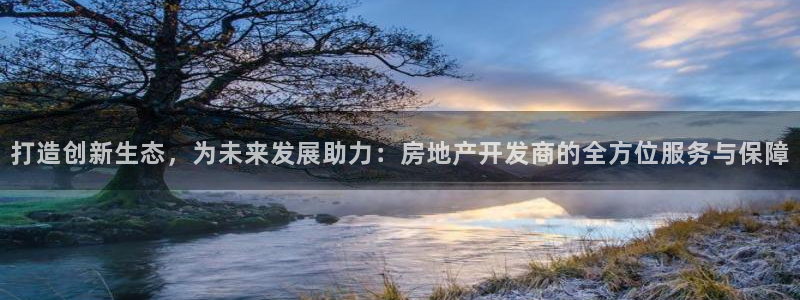 新宝5测速登录：打造创新生态，为未来发展助力：房地产开发商的