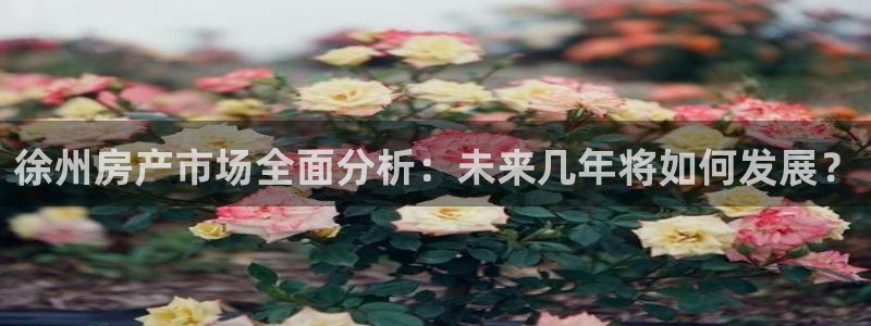 新宝5日
