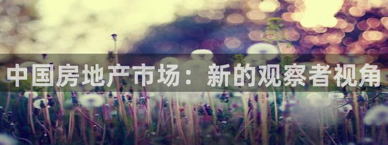 新宝5浗维33 300：中国房地产市场：新的观察者视角