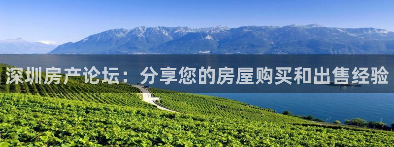 新宝5分彩：深圳房产论坛：分享您的房屋购买和出售经验