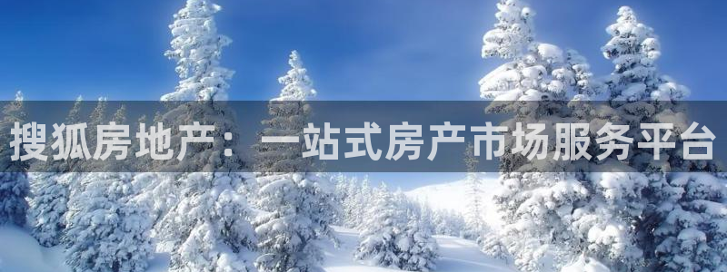 新宝5 唯一：搜狐房地产：一站式房产市场服务平台