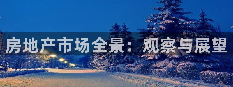 新宝那2O5O5O：房地产市场全景：观察与展望