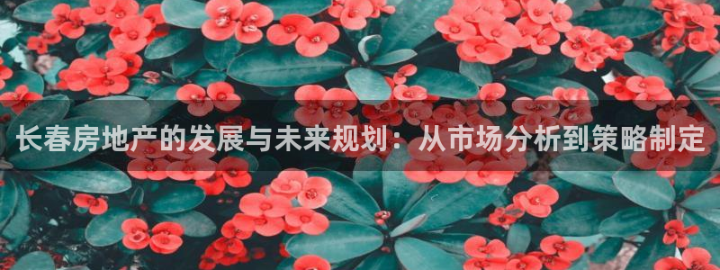 新宝5 注册：长春房地产的发展与未来规划：从市场分析到策略制