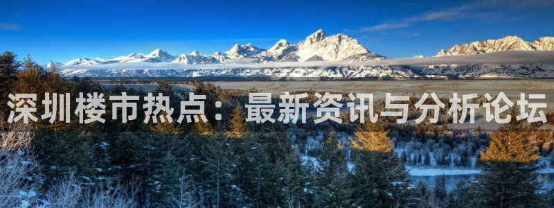 老新宝5授权登录：深圳楼市热点：最新资讯与分析论坛