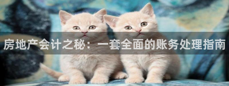 新宝5注册流程：房地产会计之秘：一套全面的账务处理指南