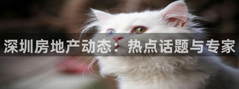 新宝5网址：深圳房地产动态：热点话题与专家