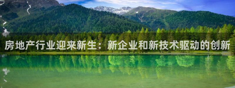 新宝5娱乐没：房地产行业迎来新生：新企业和新技术驱动的创新