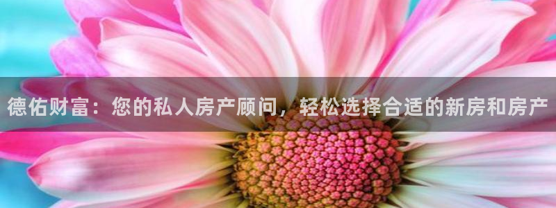新宝5招商部：德佑财富：您的私人房产顾问，轻松选择合适的新房