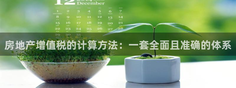 新宝5官方：房地产增值税的计算方法：一套全面且准确的体系
