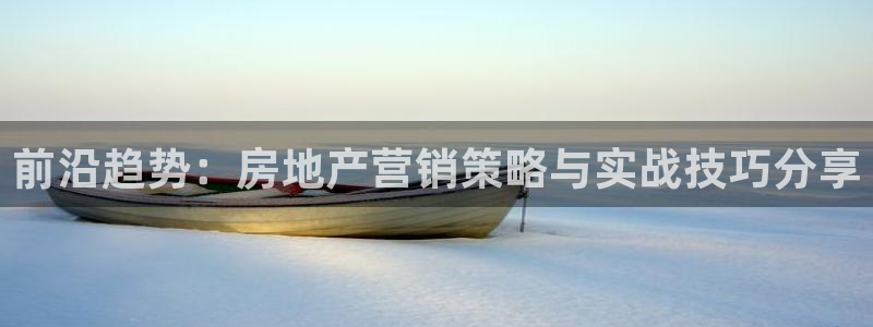 新宝5娱乐注册：前沿趋势：房地产营销策略与实战技巧分享