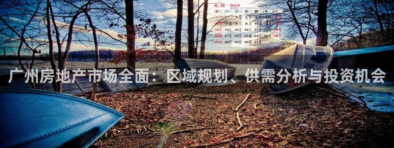 新宝5唯一：广州房地产市场全面：区域规划、供需分析与投资机会