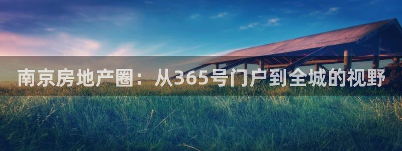 新宝5直属：南京房地产圈：从365号门户到全城的视野