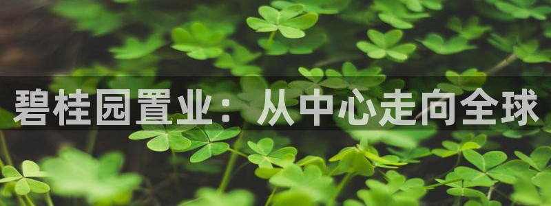 新宝5侹刔：碧桂园置业：从中心走向全球