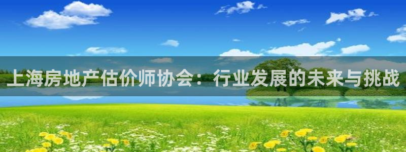 新宝5：上海房地产估价师协会：行业发展的未来与挑战