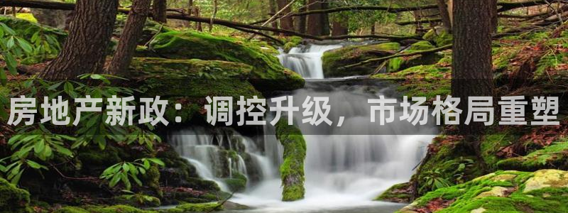 新宝5娱乐：房地产新政：调控升级，市场格局重塑