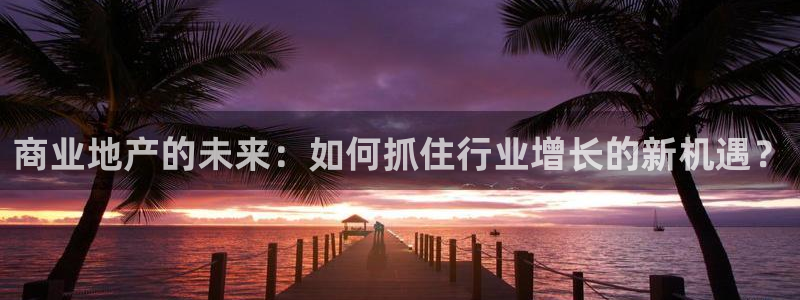 菲律宾新宝5老板：商业地产的未来：如何抓住行业增长的新机遇？