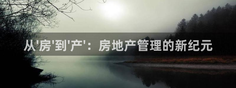 新宝5日谢29999：从\'房\'到\'产\'：房地产管理的