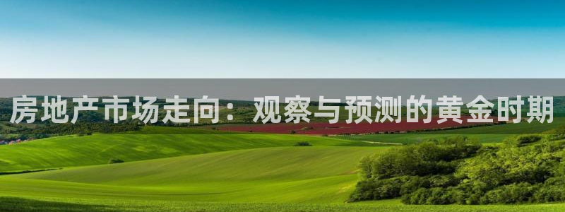 新宝5娱乐注册：房地产市场走向：观察与预测的黄金时期