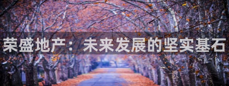 新宝xb5：荣盛地产：未来发展的坚实基石