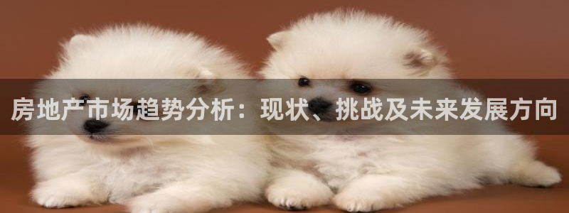 新宝5官方网站：房地产市场趋势分析：现状、挑战及未来发展方向