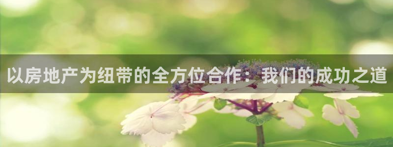 新宝5网站：以房地产为纽带的全方位合作：我们的成功之道