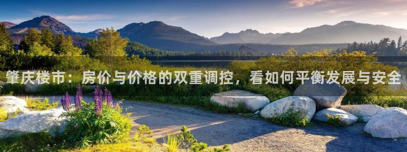 新宝5登录入口网址：肇庆楼市：房价与价格的双重调控，看如何平