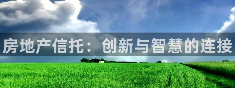 新宝5 - 测速登陆：房地产信托：创新与智慧的连接
