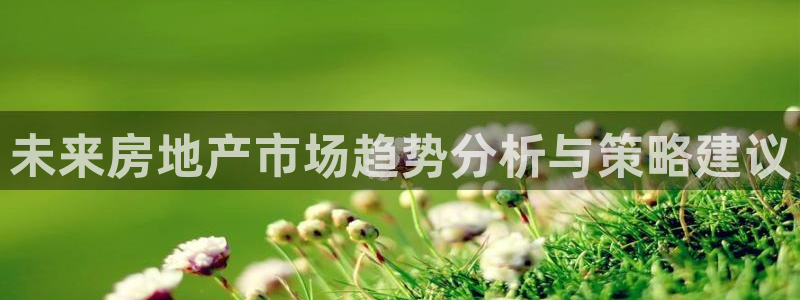 新宝5注册霸：未来房地产市场趋势分析与策略建议
