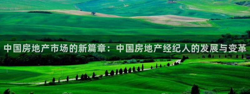 新宝5娱乐登陆：中国房地产市场的新篇章：中国房地产经纪人的发