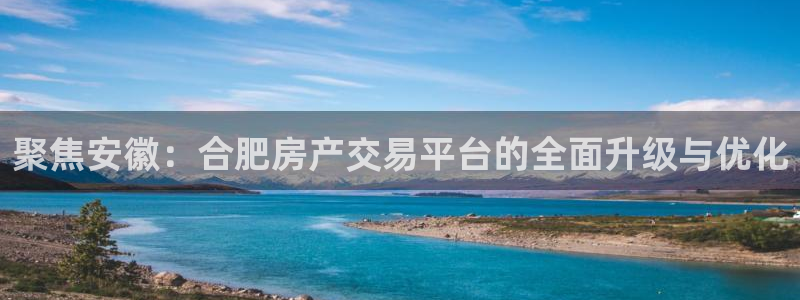 新宝5X：聚焦安徽：合肥房产交易平台的全面升级与优化
