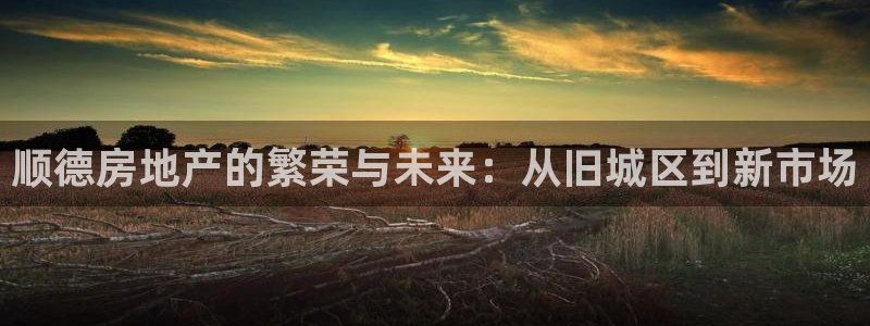 新宝5官网霸：顺德房地产的繁荣与未来：从旧城区到新市场