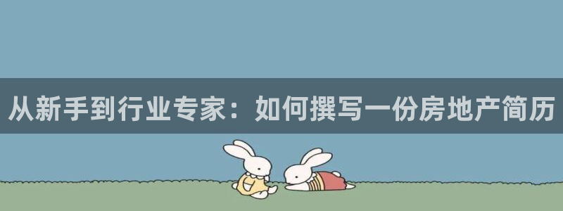 新宝5测试：从新手到行业专家：如何撰写一份房地产简历