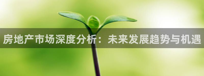 新宝5官网：房地产市场深度分析：未来发展趋势与机遇