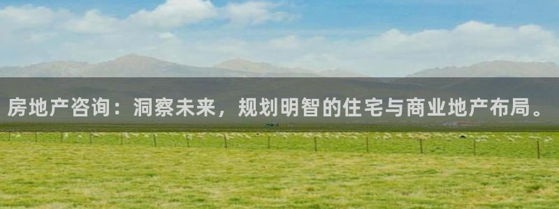 新宝5登录界面：房地产咨询：洞察未来，规划明智的住宅与商业地