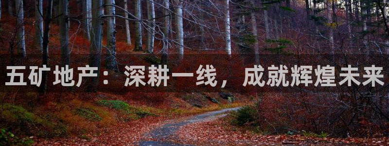 新宝5 - 测速登陆：五矿地产：深耕一线，成就辉煌未来