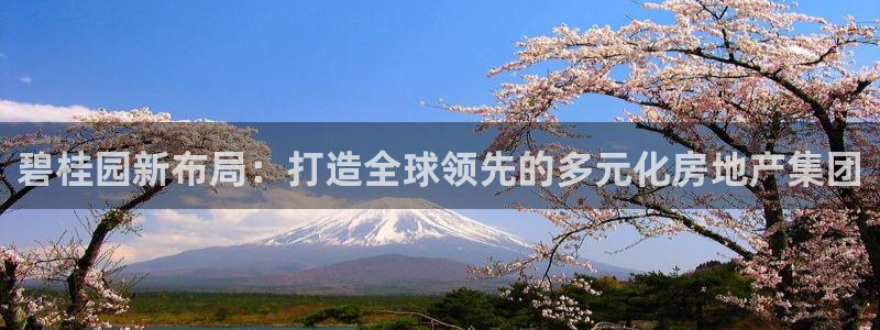 新宝5：碧桂园新布局：打造全球领先的多元化房地产集团