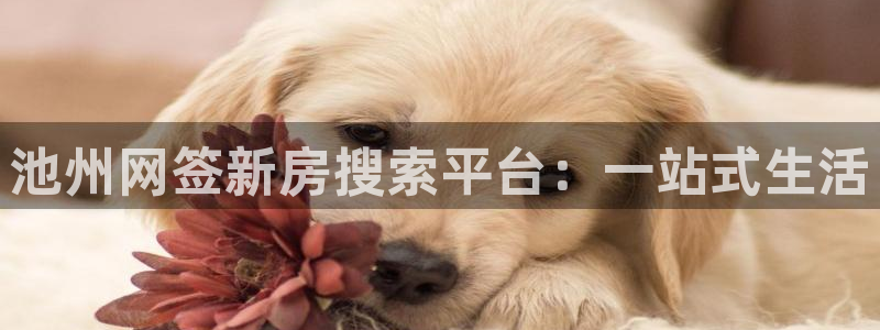 新宝xb5：池州网签新房搜索平台：一站式生活