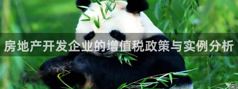 新宝5登录：房地产开发企业的增值税政策与实例分析
