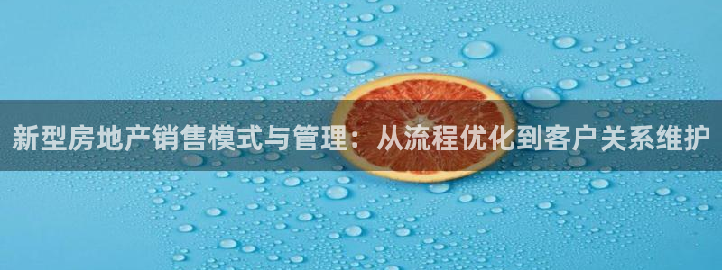 新宝5 - 测速登陆：新型房地产销售模式与管理：从流程优化到