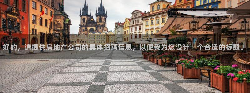 新宝5挂机软件：好的，请提供房地产公司的具体招聘信息，以便我