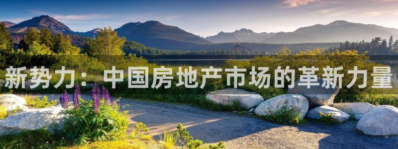新宝rm5：新势力：中国房地产市场的革新力量