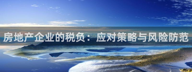 新宝5娱乐登录：房地产企业的税负：应对策略与风险防范