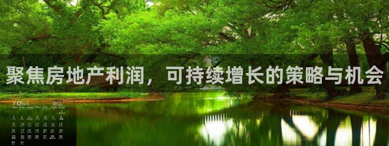 新宝股东王听2 5 5：聚焦房地产利润，可持续增长的策略与机