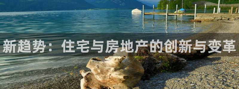 新宝5app：新趋势：住宅与房地产的创新与变革