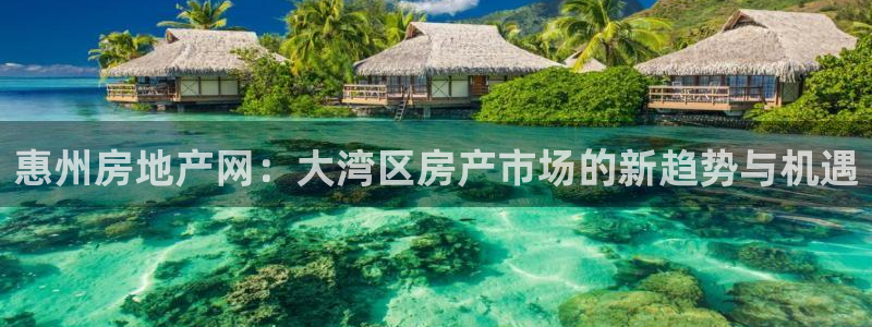 新宝5注册登录：惠州房地产网：大湾区房产市场的新趋势与机遇