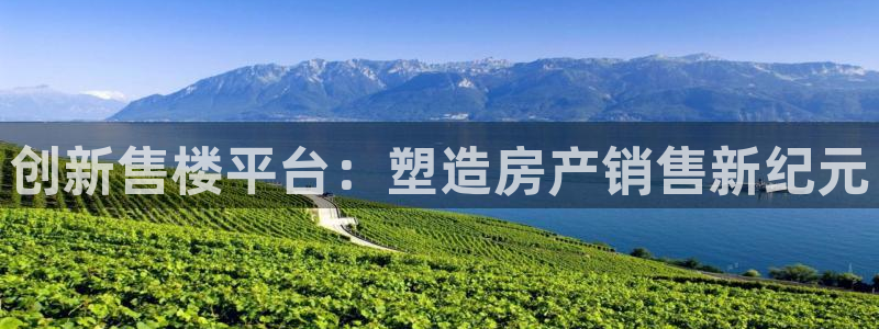 新宝注5册：创新售楼平台：塑造房产销售新纪元