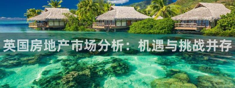 新宝5娱乐登陆：英国房地产市场分析：机遇与挑战并存