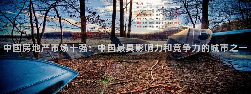 新宝5飞355051：中国房地产市场十强：中国最具影响力和竞