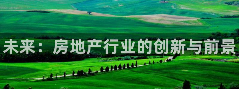 新宝股东张听2 5 5：未来：房地产行业的创新与前景